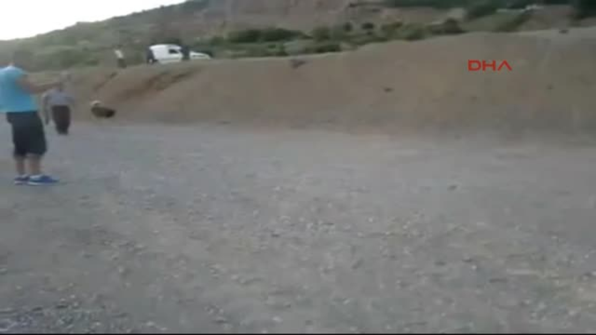 Dha Dış Haber ? Kosova\'da Polis Köpek Dövüşüne Karşı Harekete Geçti