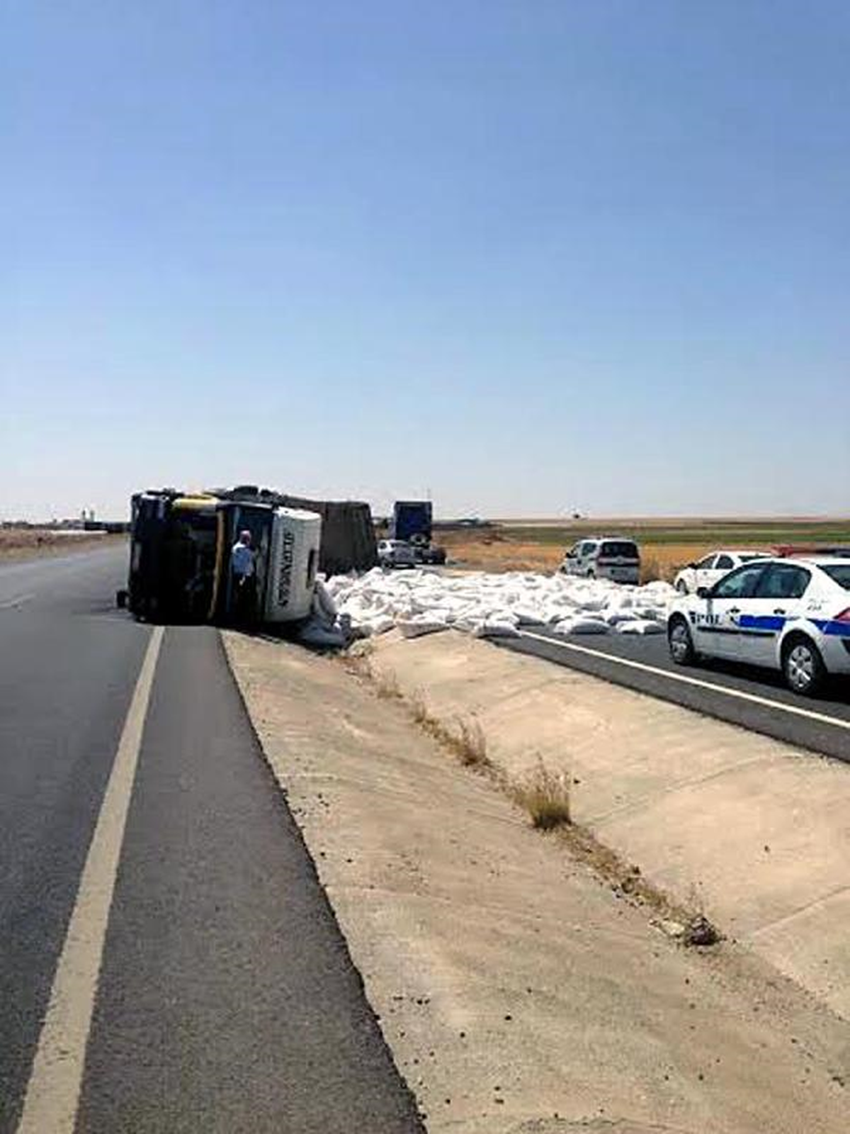 Eşek Arısı Tır\'ın Devrilmesine Neden Oldu : 2 Yaralı