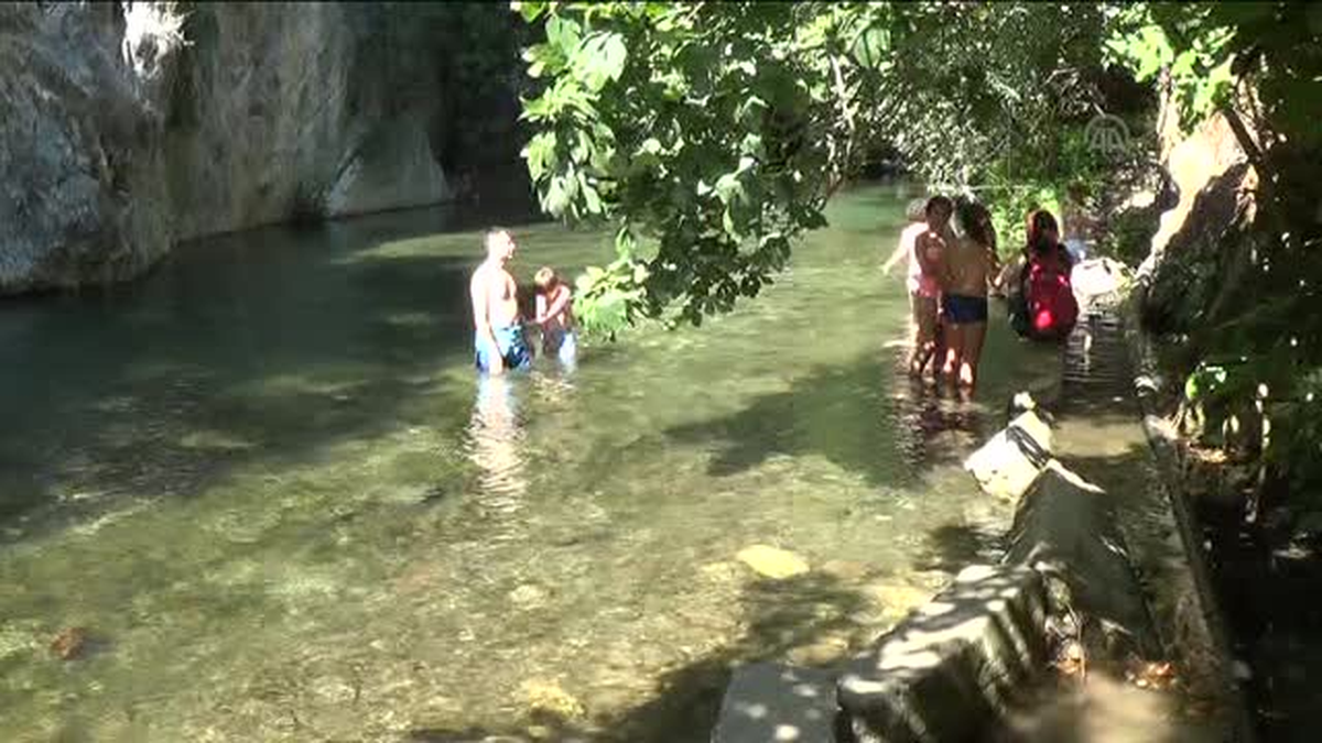 Nehirlere dikkat çekmek için yamaçtan suya atladılar -