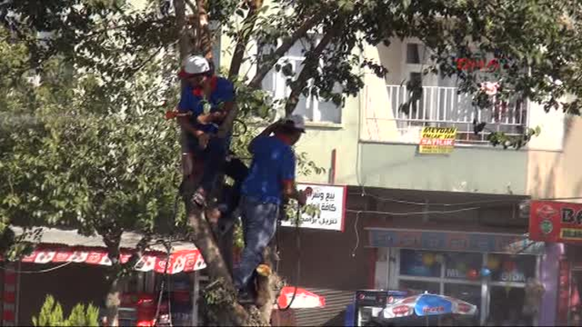Başbakan ve Cumhurbaşkanı Adayı Recep Tayip Erdoğan, Rabia Meydanı\'ndaki İftar Yemeğinin Ardından...