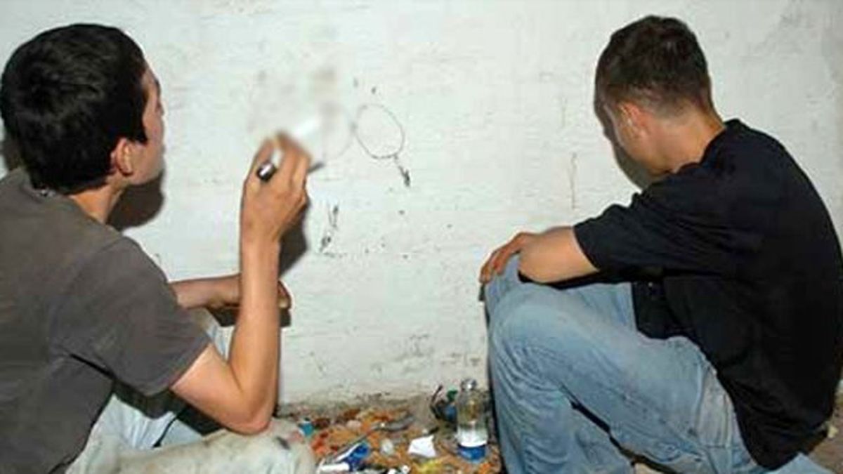 Bonzai ile Mücadele İçin 5 Bakan Biraya Geldi