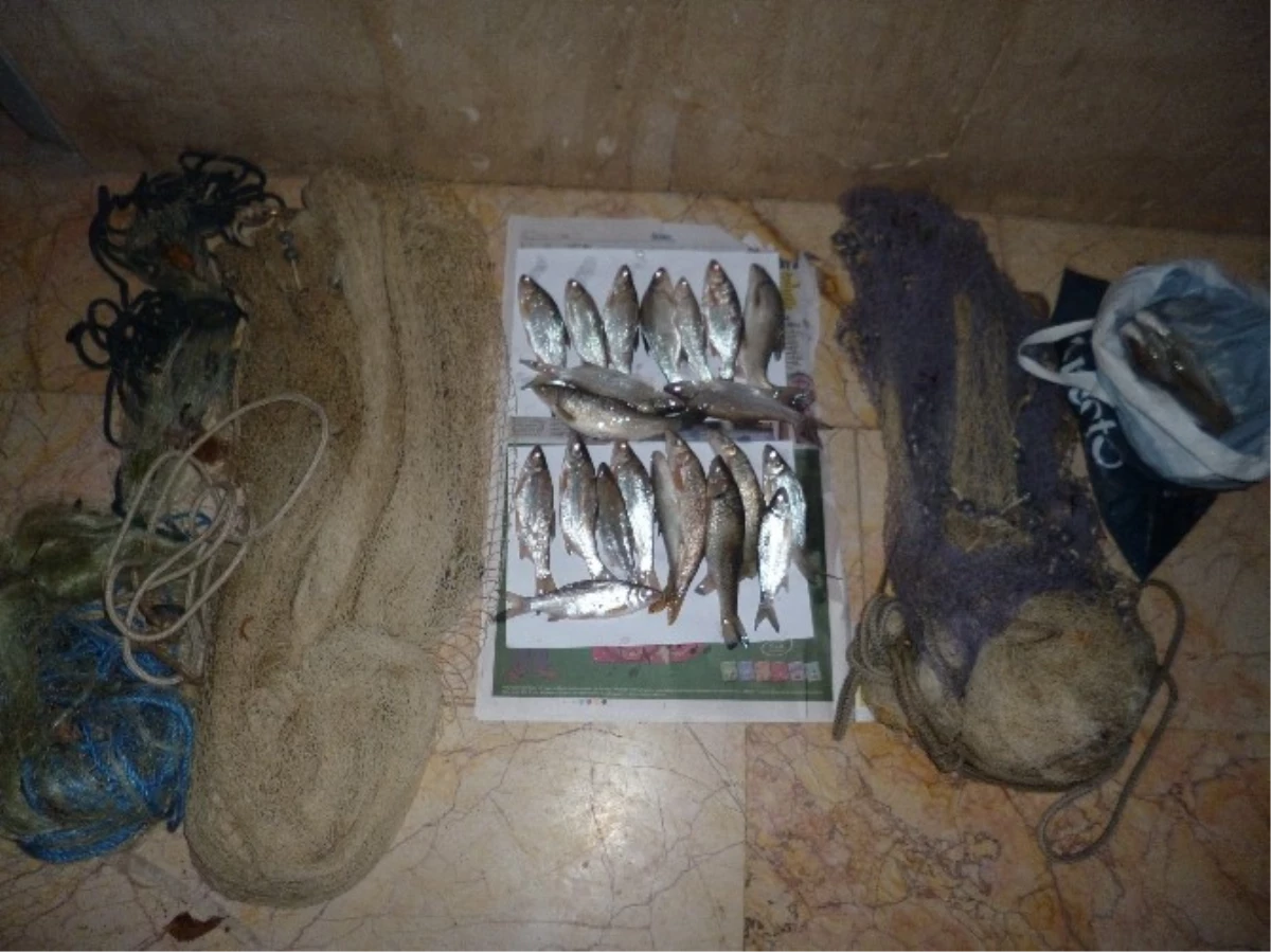 Kaçak Balık Avlayanlara Para Cezası