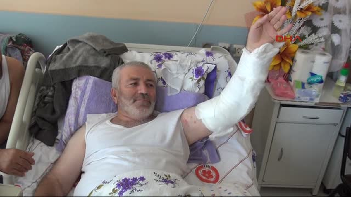 Şarbonlu İneği Kesince Rahatsızlandı