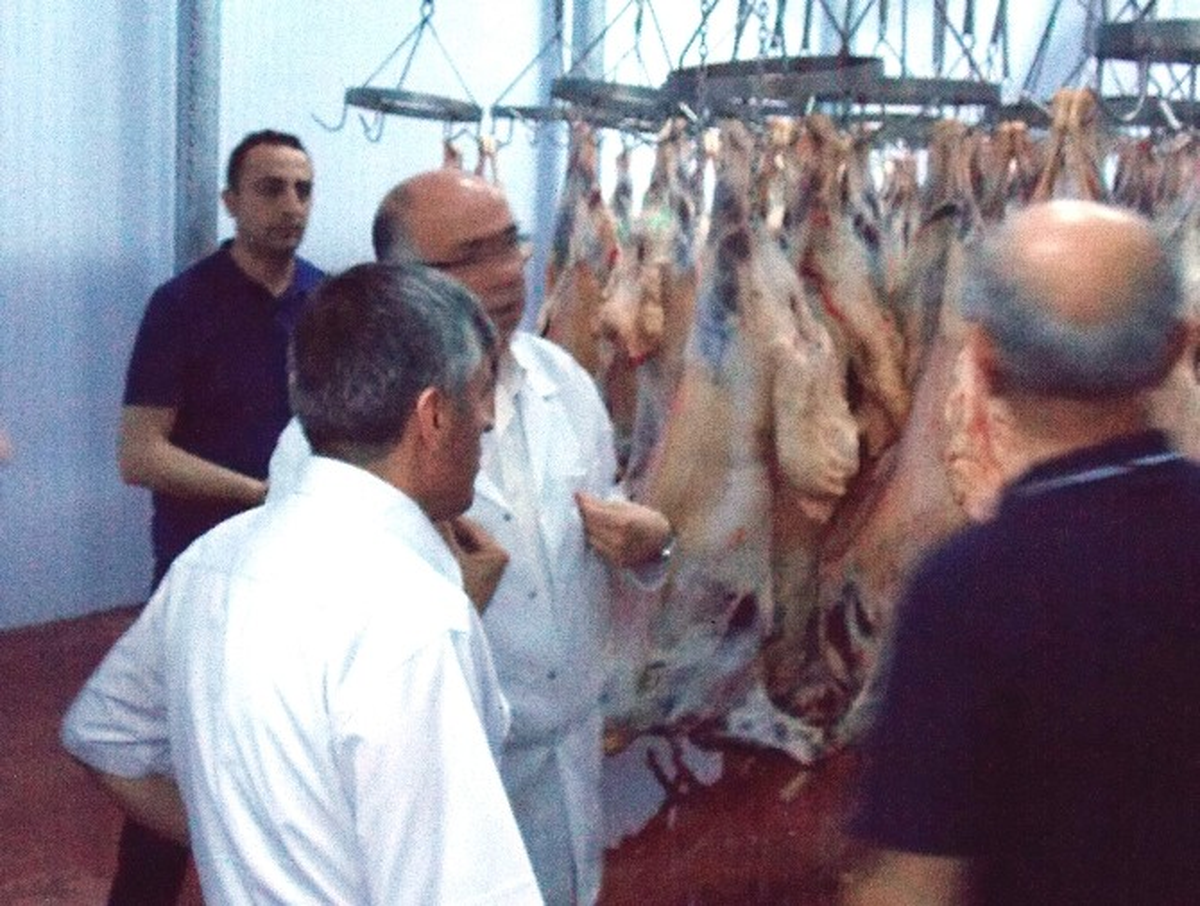 Selvi\'den Asis Et\'e Ziyaret