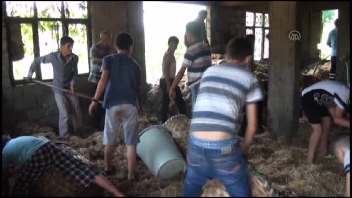 Alaplı\'da samanlık yangını -