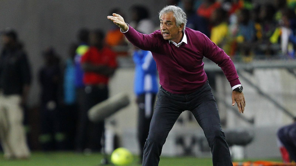 Halilhodzic: Birçok Kulüpten Teklif Aldım