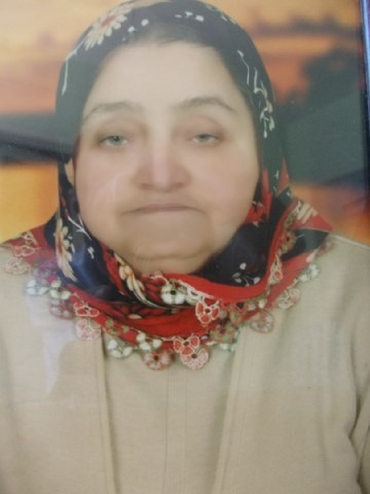 Çam Sakızı Toplamayan Giden Yaşlı Kadın, 12 Gündür Kayıp
