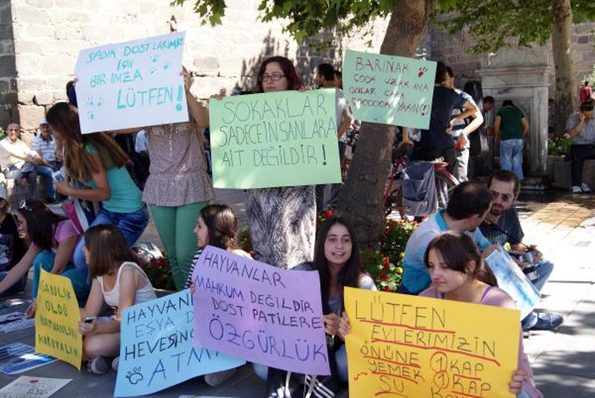 Hayvanseverlerden Sokak Hayvanları İçin Oturma Eylemi