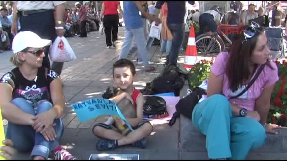 Hayvanseverlerden Sokak Hayvanları İçin Oturma Eylemi