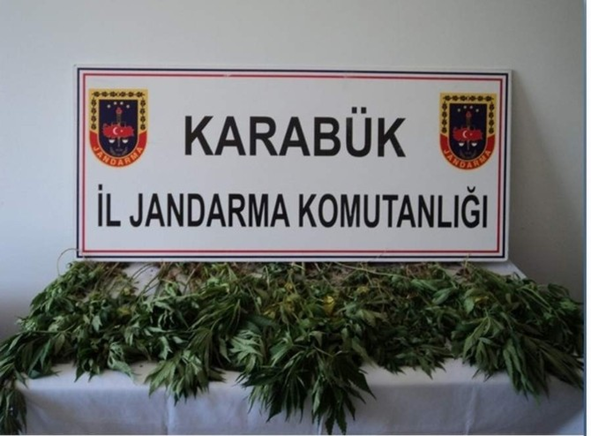 Jandarmadan Uyuşturucu Operasyonu