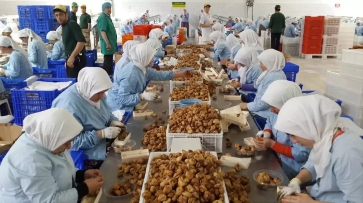 Köşk\'te Mesaiye Ramazan Ayarı