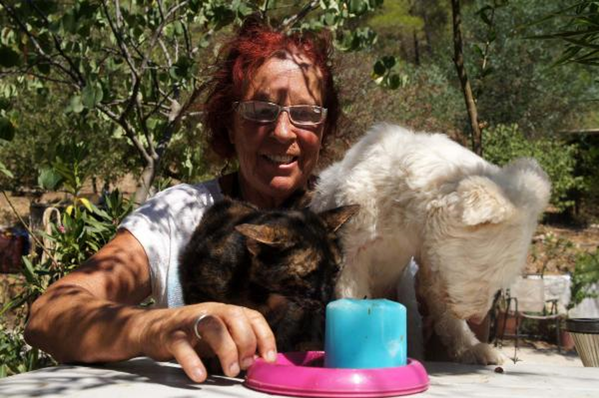 Marmaris\'in Sokak Kedilerini Almanya\'da Sahiplendiriyorlar