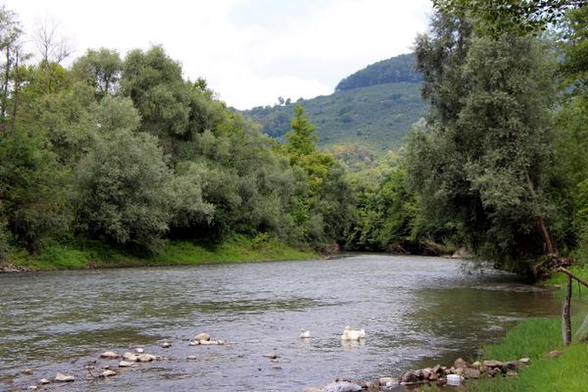 Son Aylarda Yağan Yağmurlar Melen Çayında Debiyi Yükseltti