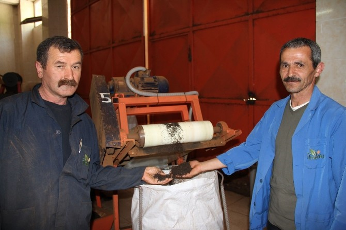 Tirebolu 42 Çayı 2014 Yılında da Kapasitesini Artırmaya Devam Edecek