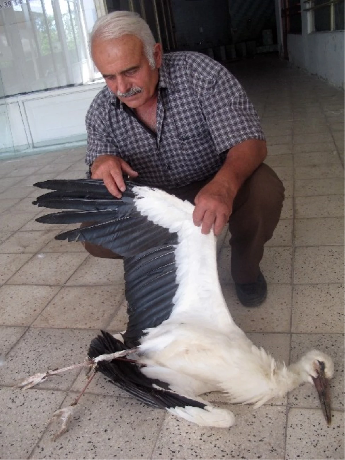 Trafoya Konan Leylek Köyü Elektriksiz Bıraktı