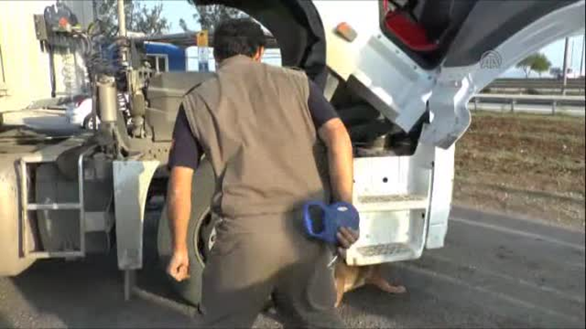 Adana\'da Polis Yılbaşından Bu Yana 5 Ton 126 Kilo Esrar Ele Geçirdi