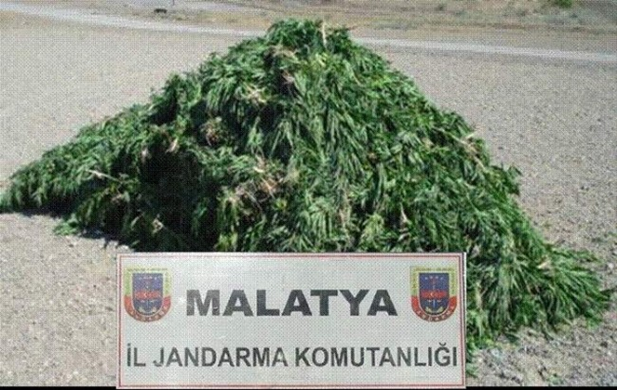 Malatya\'da Esrar ve Hint Keneviri Ele Geçirildi
