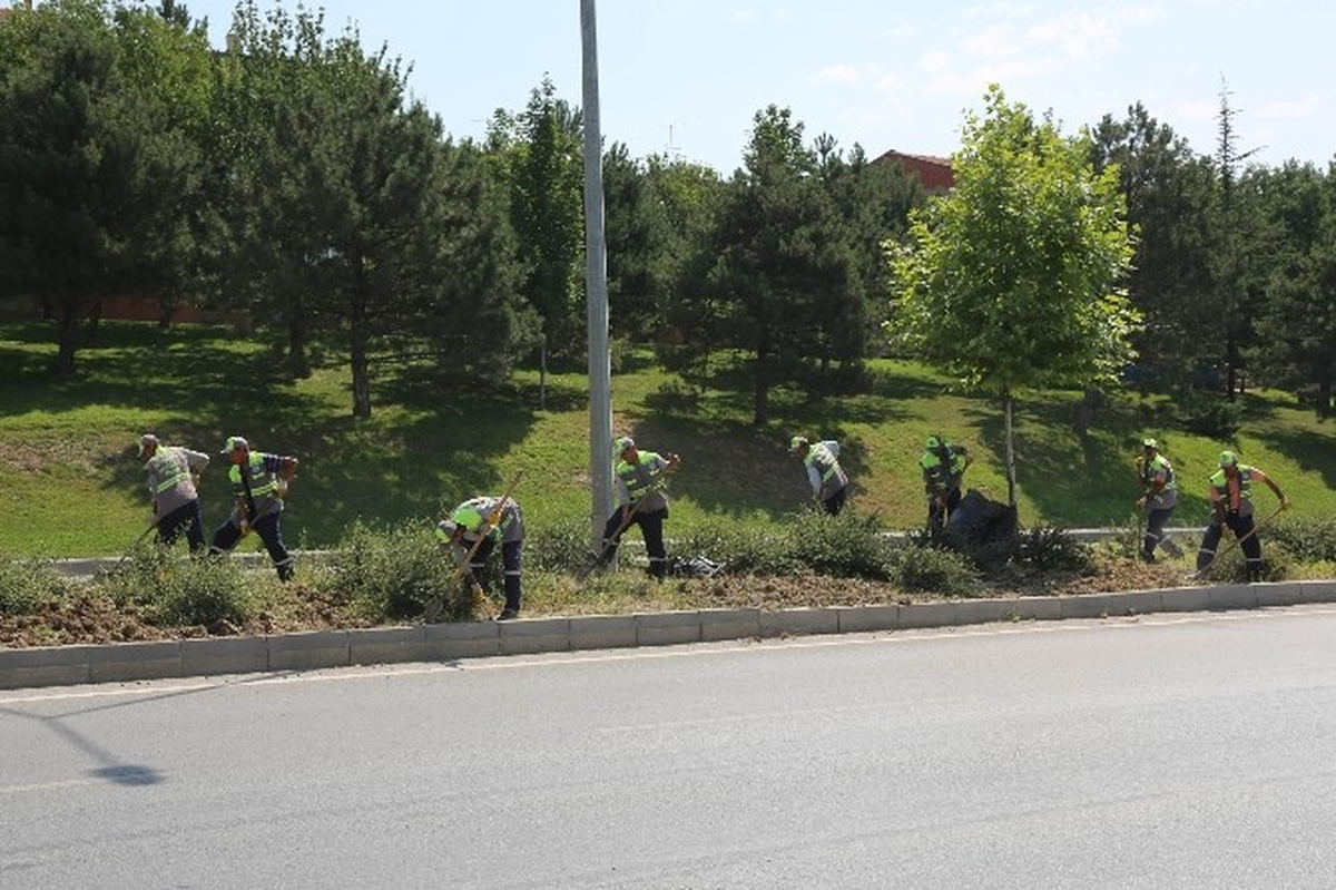 Çevre Yolu Yabani Otlardan Temizleniyor