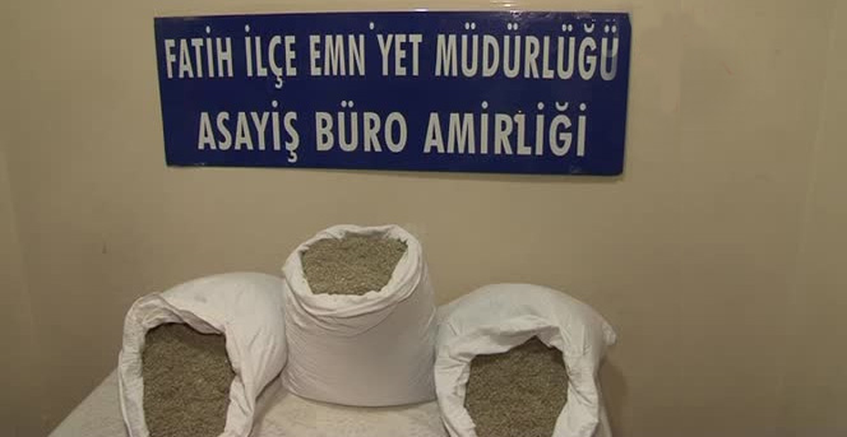 Polis, Bir Evin Çatısında 3 Çuval Halinde Bonzai Ele Geçirdi