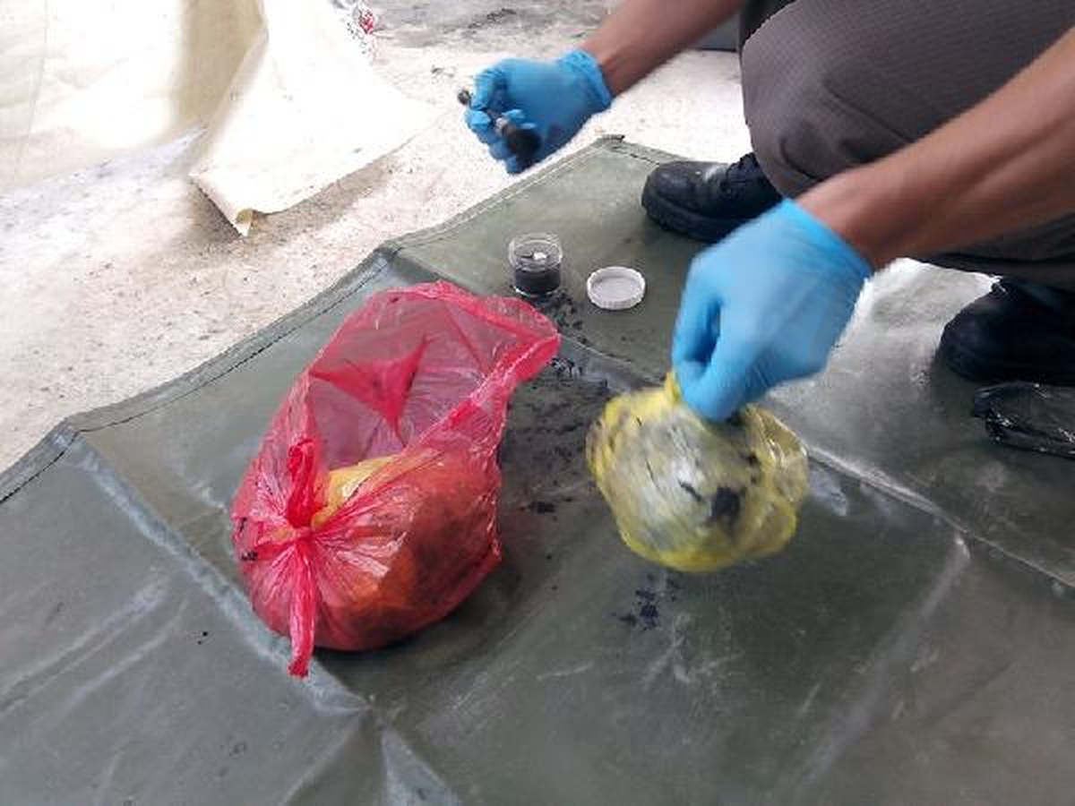 Adli Kontrolle Serbest Kaldı, Evinde 1 Kilo Bonzai Ele Geçti