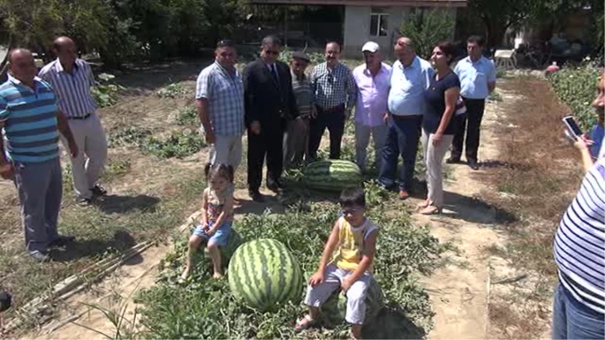 Manavgat\'ta 58 kilogram ağırlığında karpuz üretildi -