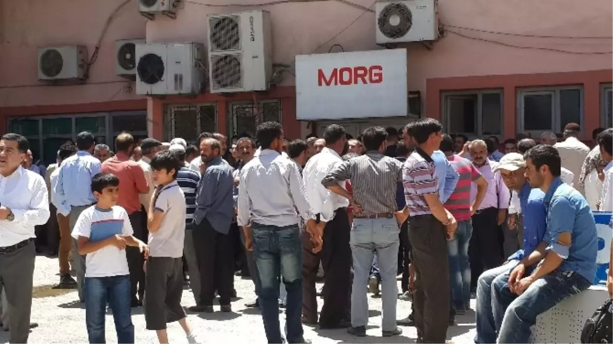 Muş'ta Ot Yüzünden Çıkan Kavgada 2 Kardeş Öldürüldü