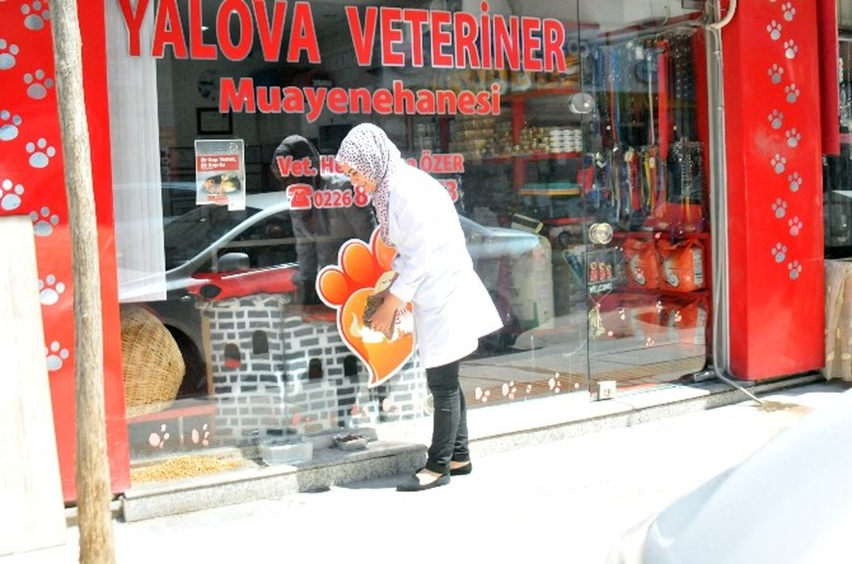 Yalova\'da Sokak Hayvanlarının Mamalarını Çalan Şahıslar Kamerada