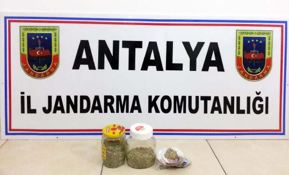 Alanya\'da Bonzai Operasyonu