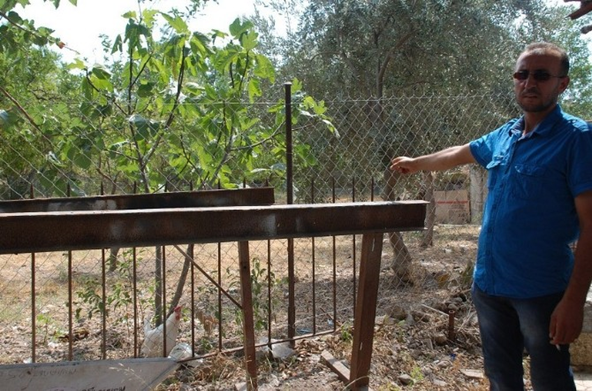 Evlerin Arasına Tel Örgü Çektiği İçin Amcasını Öldürdü