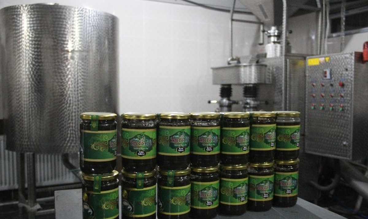 Hakkari\'nin İlk Fabrikası Üretime Başladı