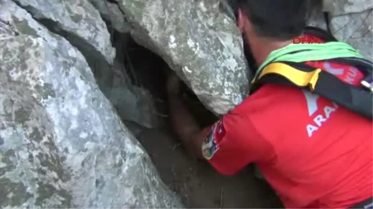 Kayalıklarda Mahsur Kalan Keçiyi Akut Kurtardı