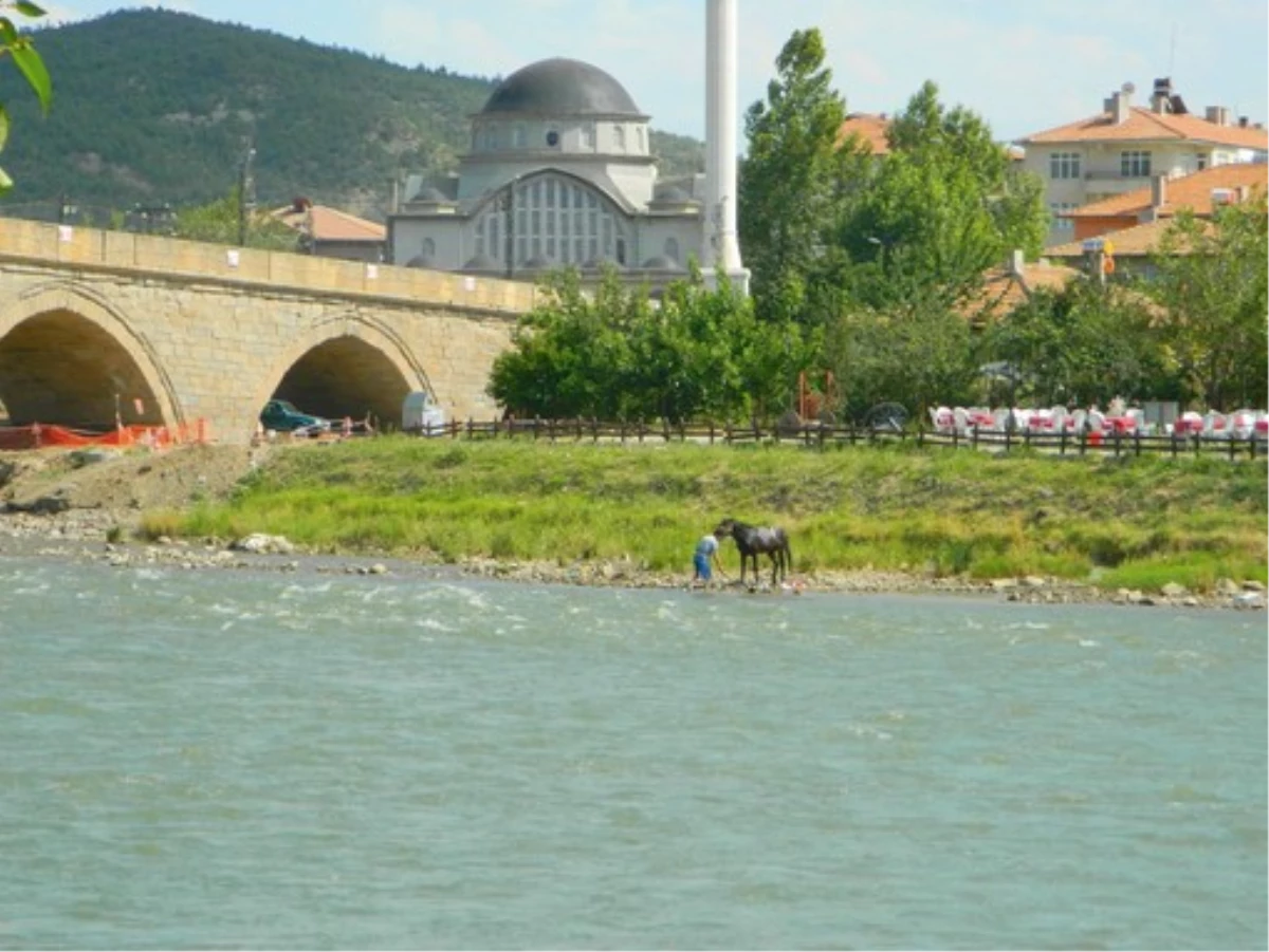 Osmancık\'ta Sıcaktan Bunalan Atlar Kızılırmak\'ta Serinletiliyor