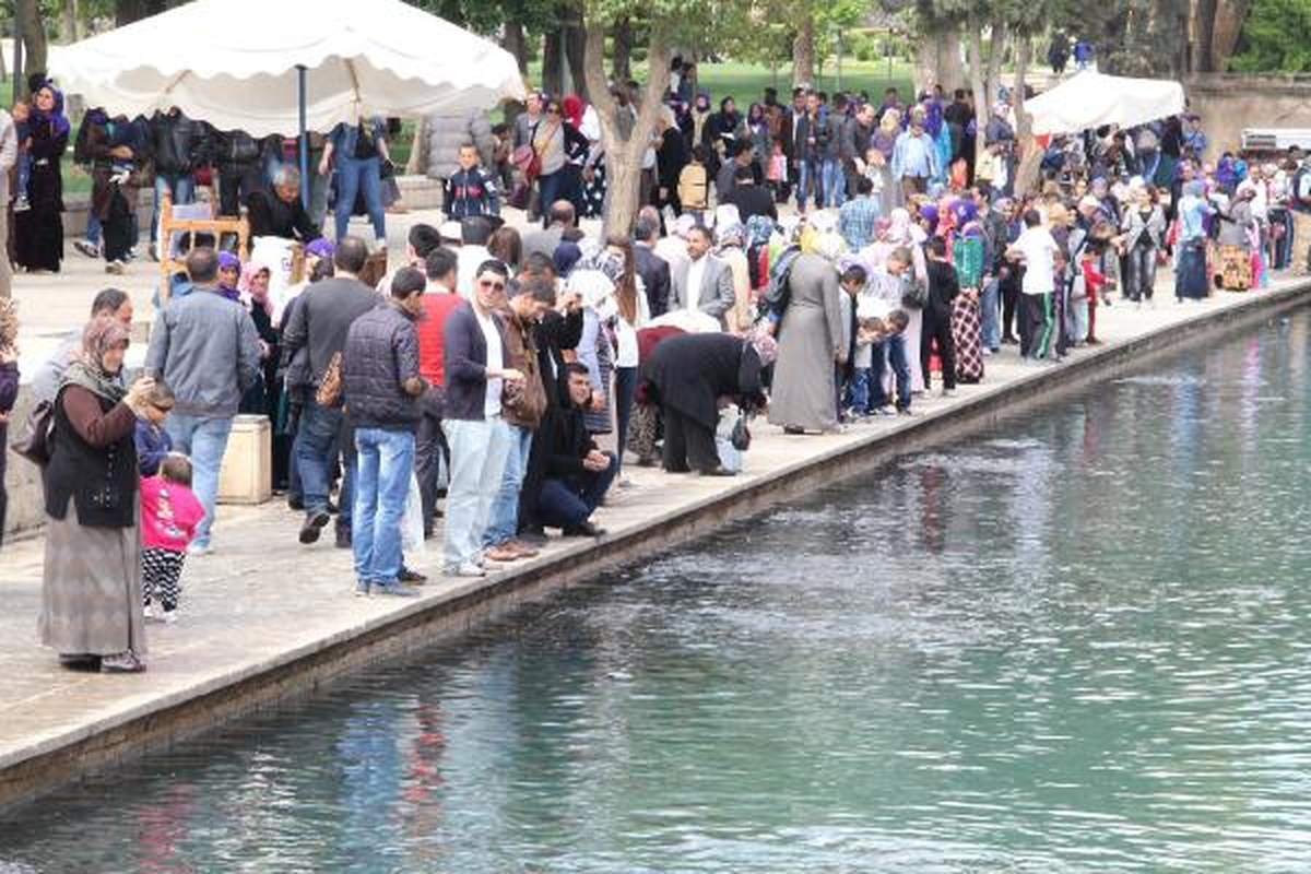 Şanlıurfa\'da Kaçak Balık Yemleri İmha Edildi