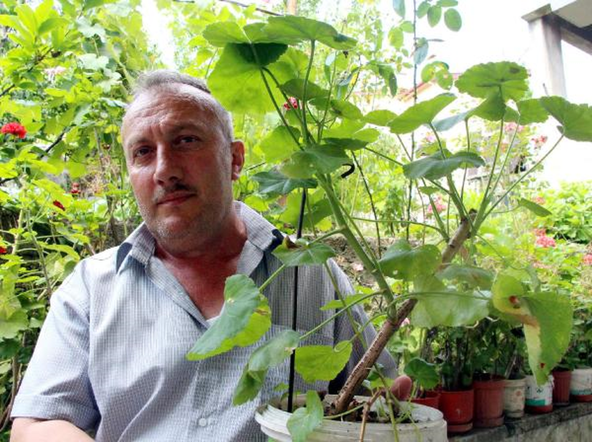 Sardunya Gövdesindeki Rakamlarla Şans Oyunu