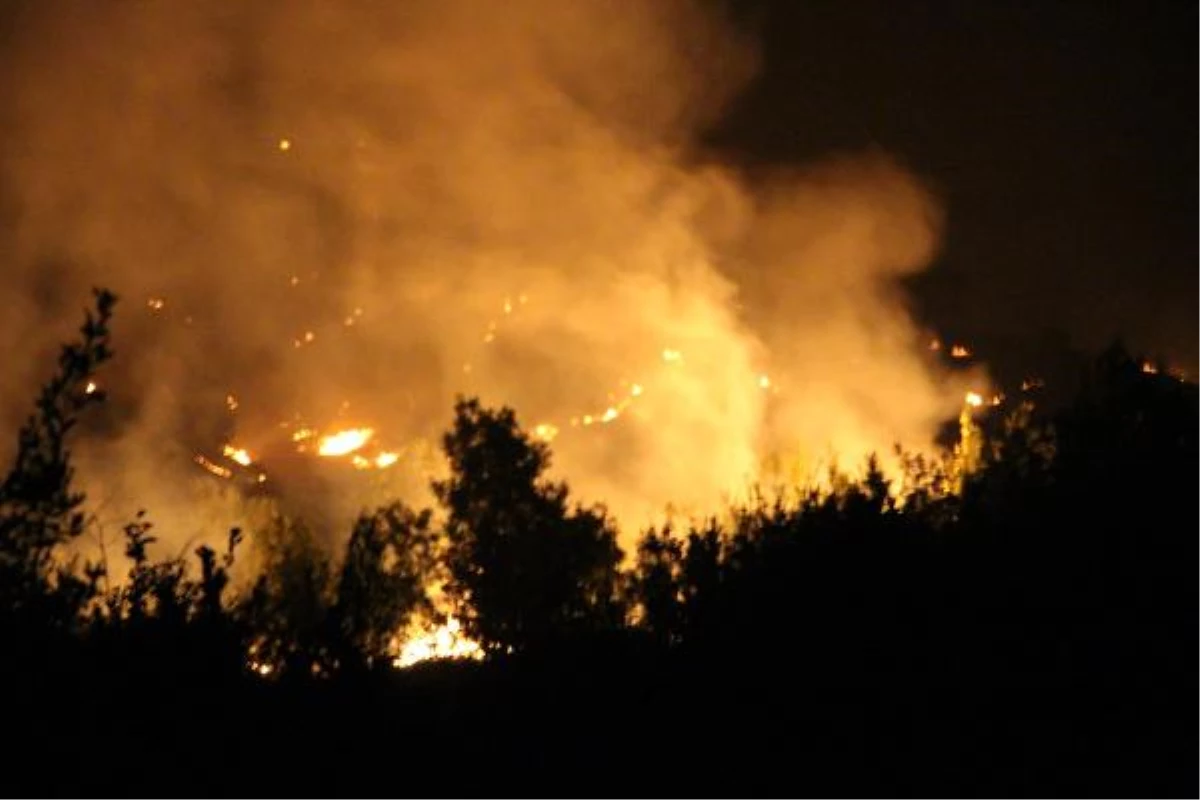 Şırnak\'ta Orman Yangınına Köylüler Müdahale Ediyor