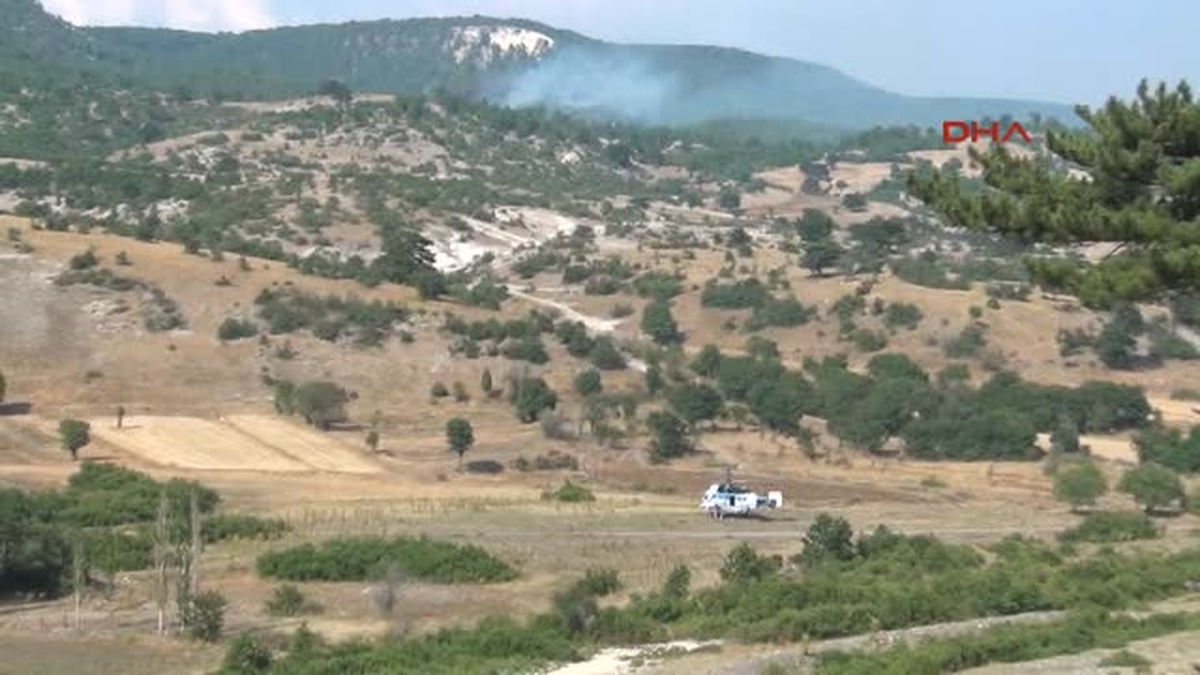 Domaniç\'te Orman Yangını