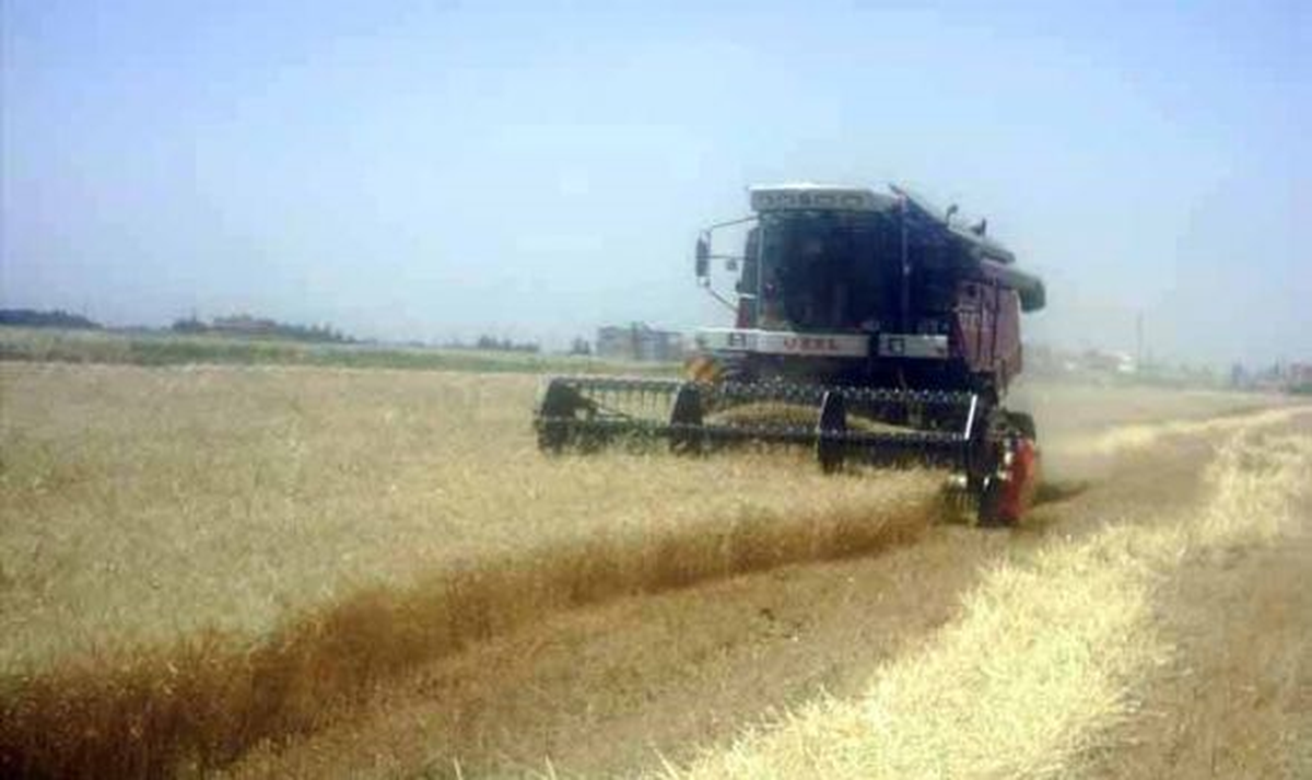 Eleşkirt Ovasında Hasat Sezonu Başladı