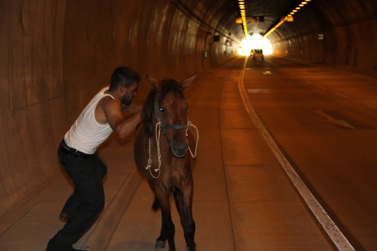 'Asfalt Kovboyu' Kağıthane - Piyalepaşa Tünelinde