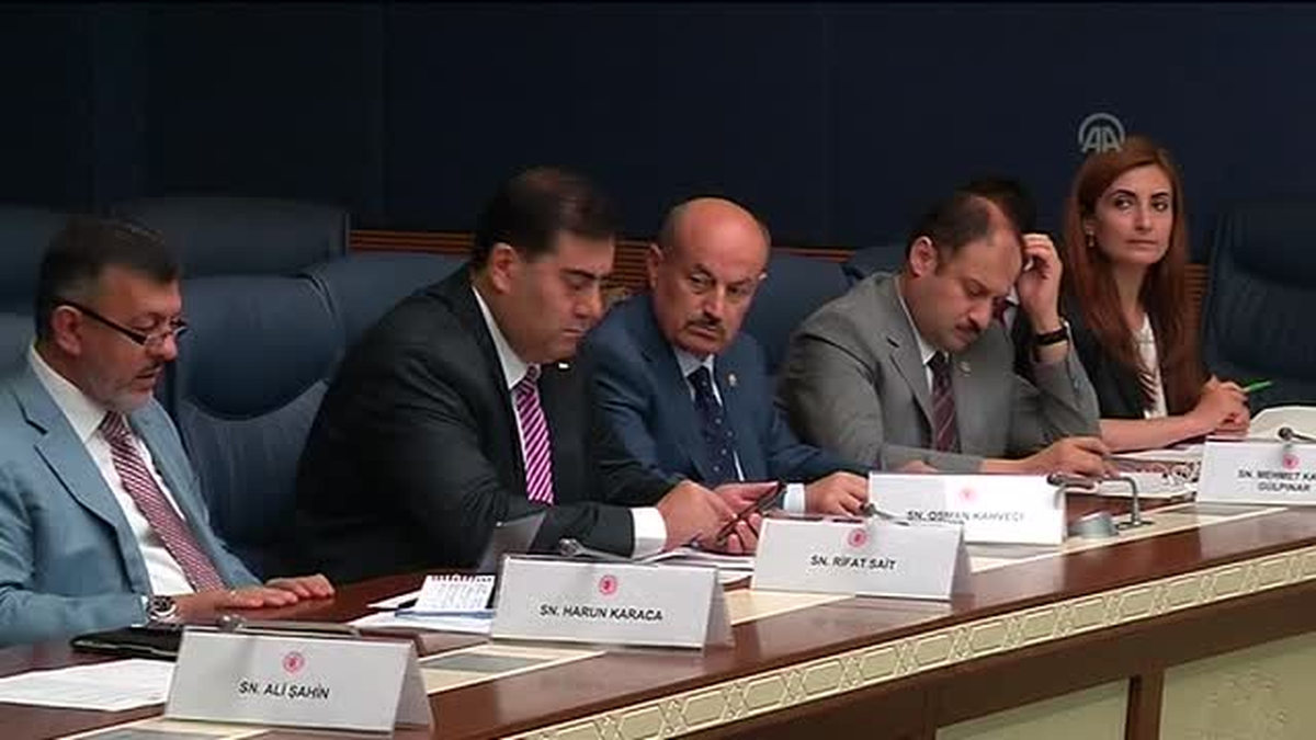 TBMM Dışişleri Komisyonu\'ndan Gazze İçin Ortak Bildiri