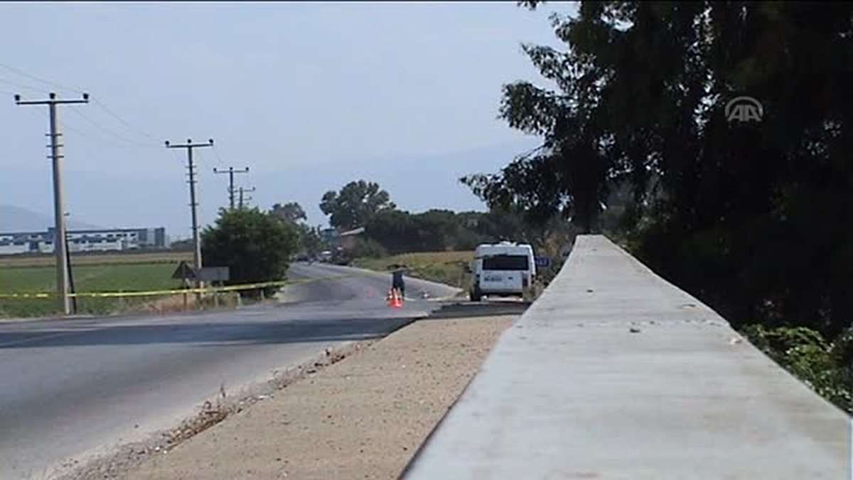 Yol kenarında 5 el bombası bulundu