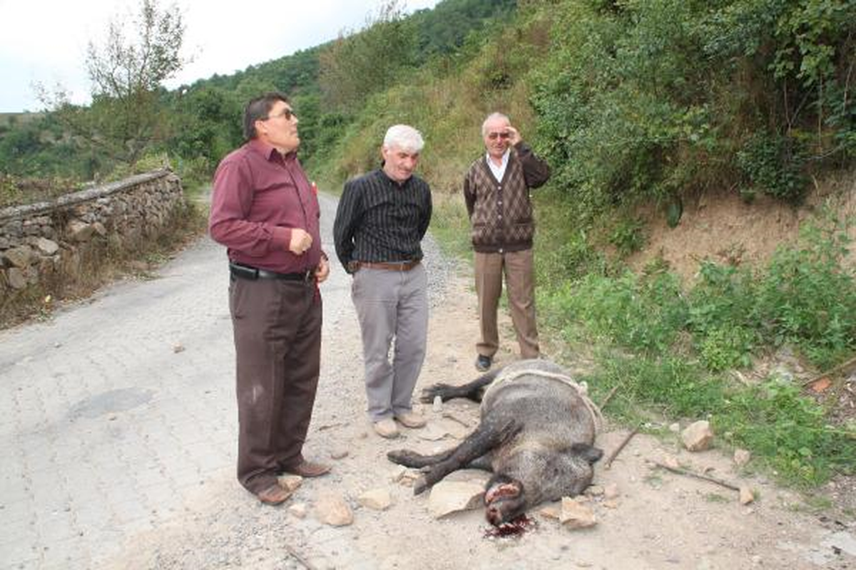 Domuz Avında Kaza Kurşunu Can Aldı