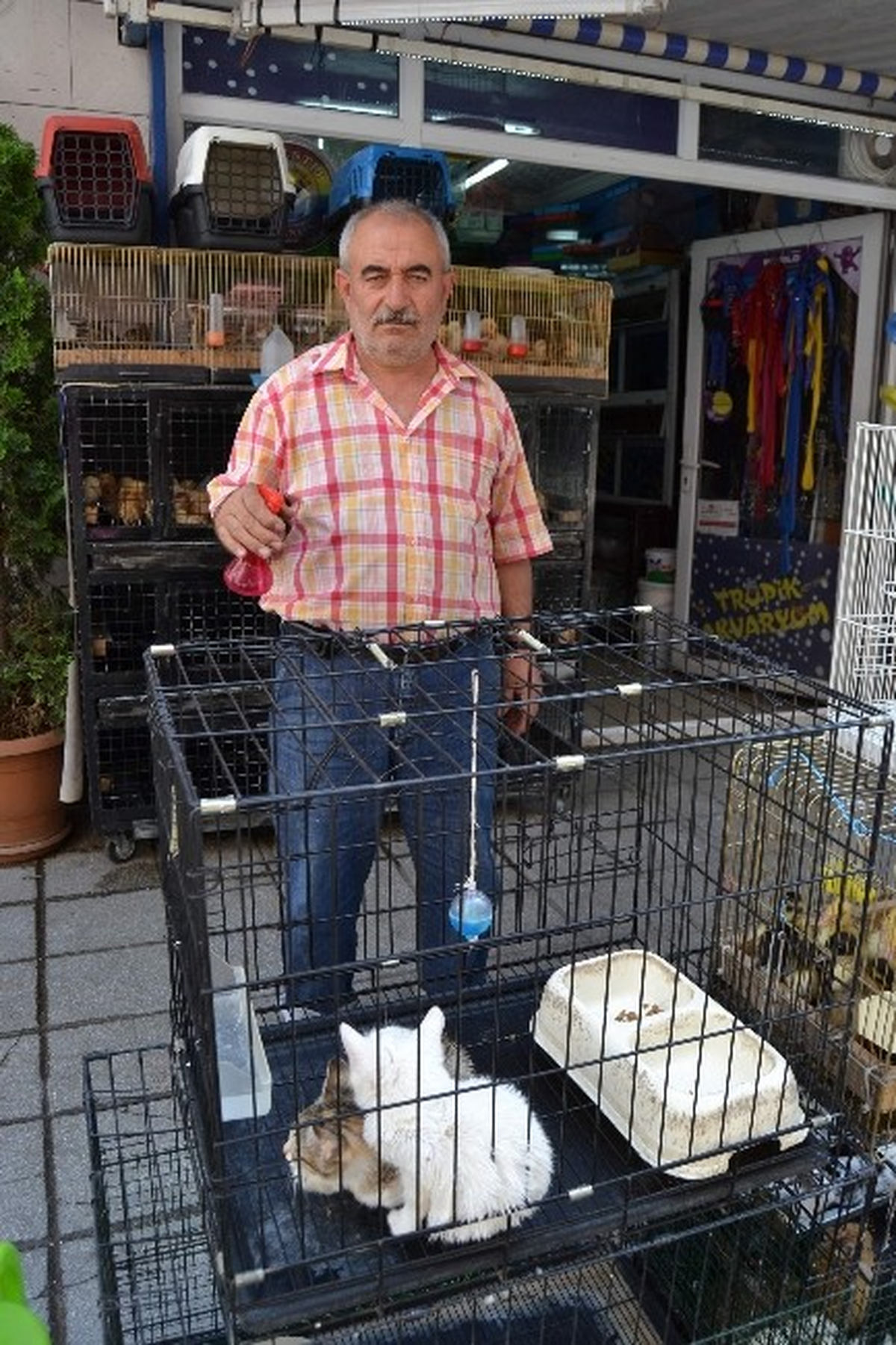 Evcil Hayvanları Serinleten Yöntem