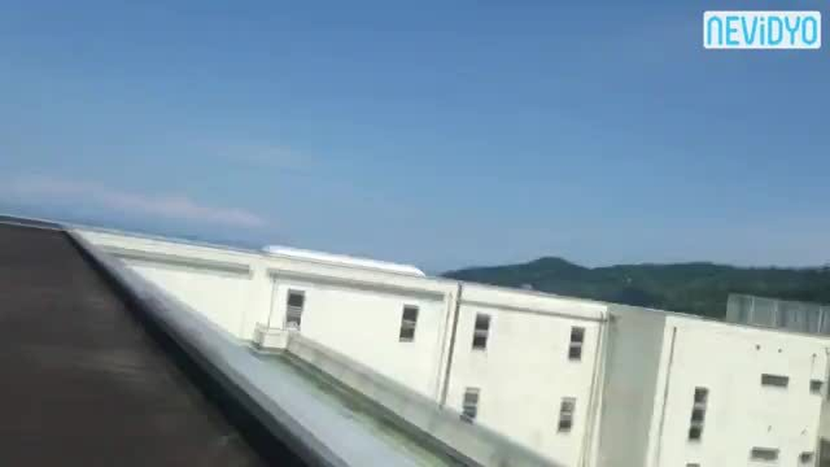 Japon Kızlar Ninjalara Taş Çıkarttı!