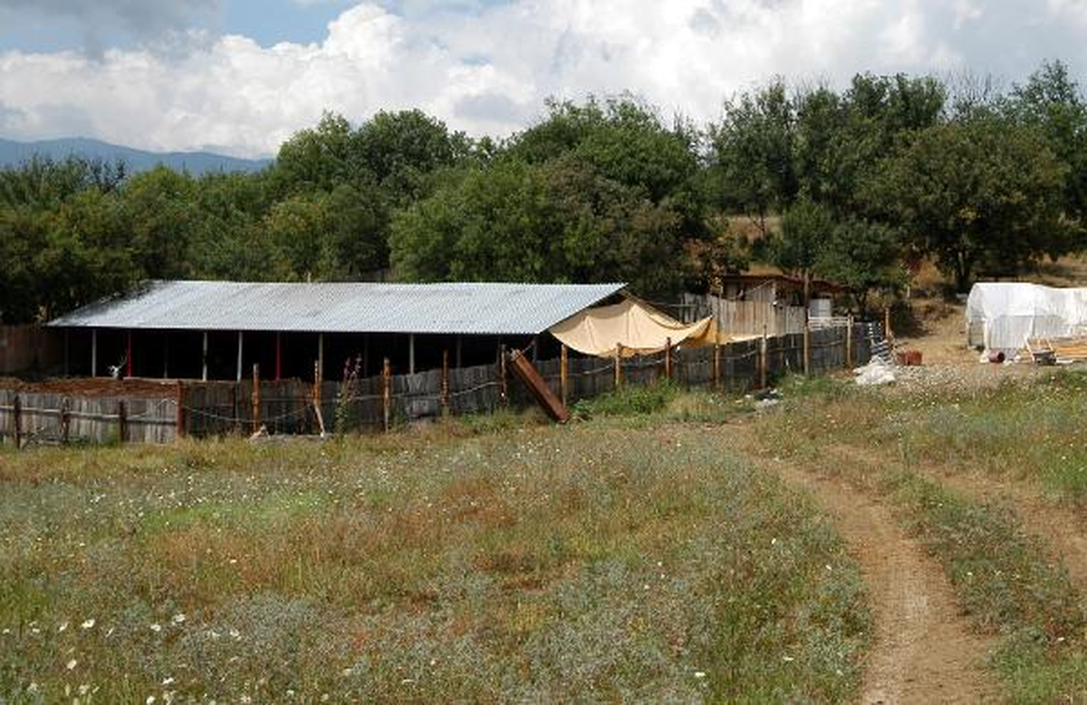 Av Tüfeği ile Ateş Edip Cinsel Organını Keserek Öldürdü (2)