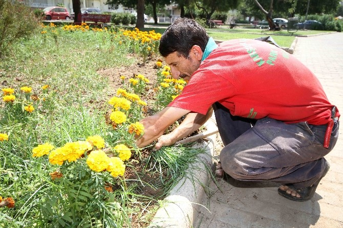 İzmir Karşıyaka Çiçek Açtı