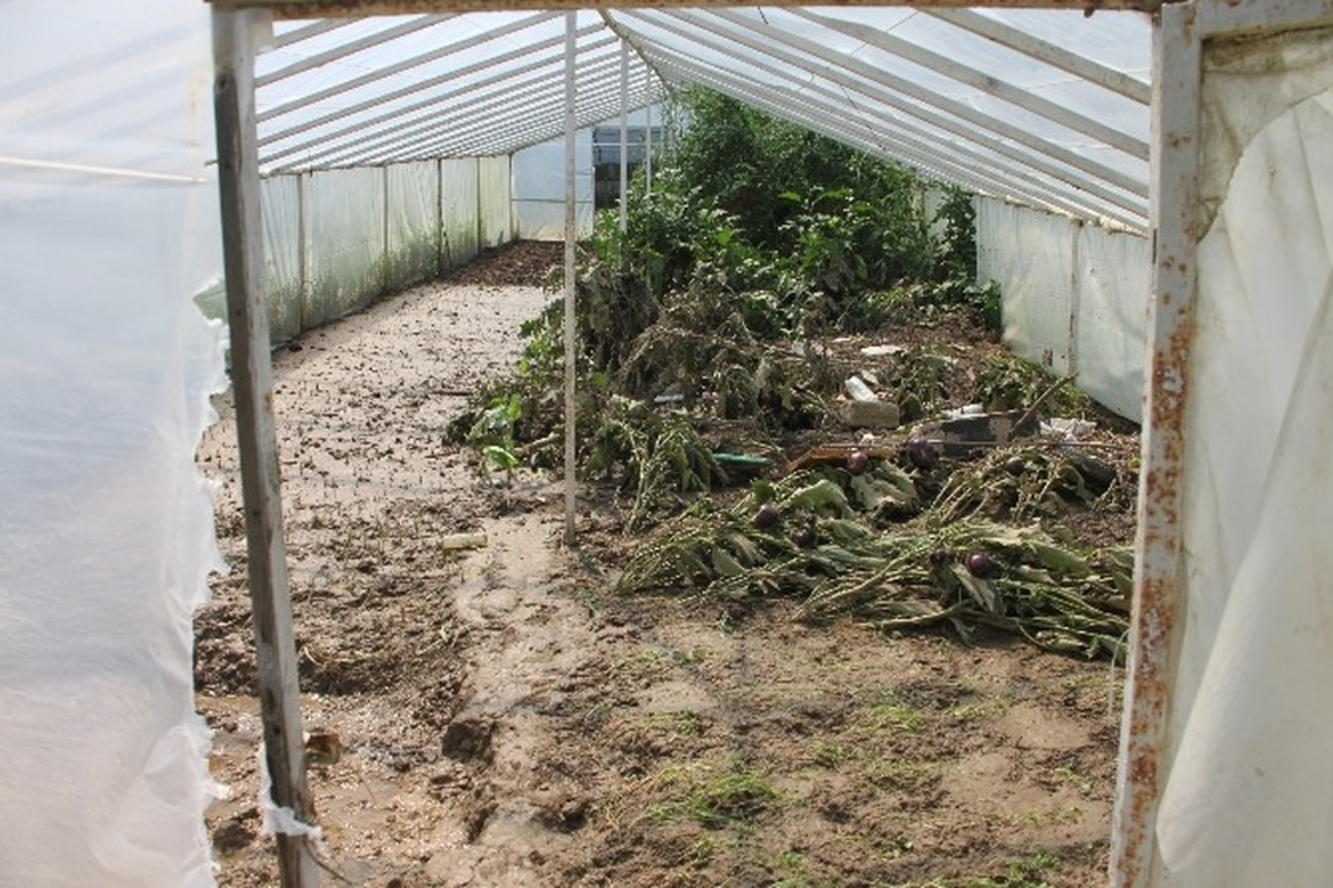 Sular Çekildi Hasar Ortaya Çıktı