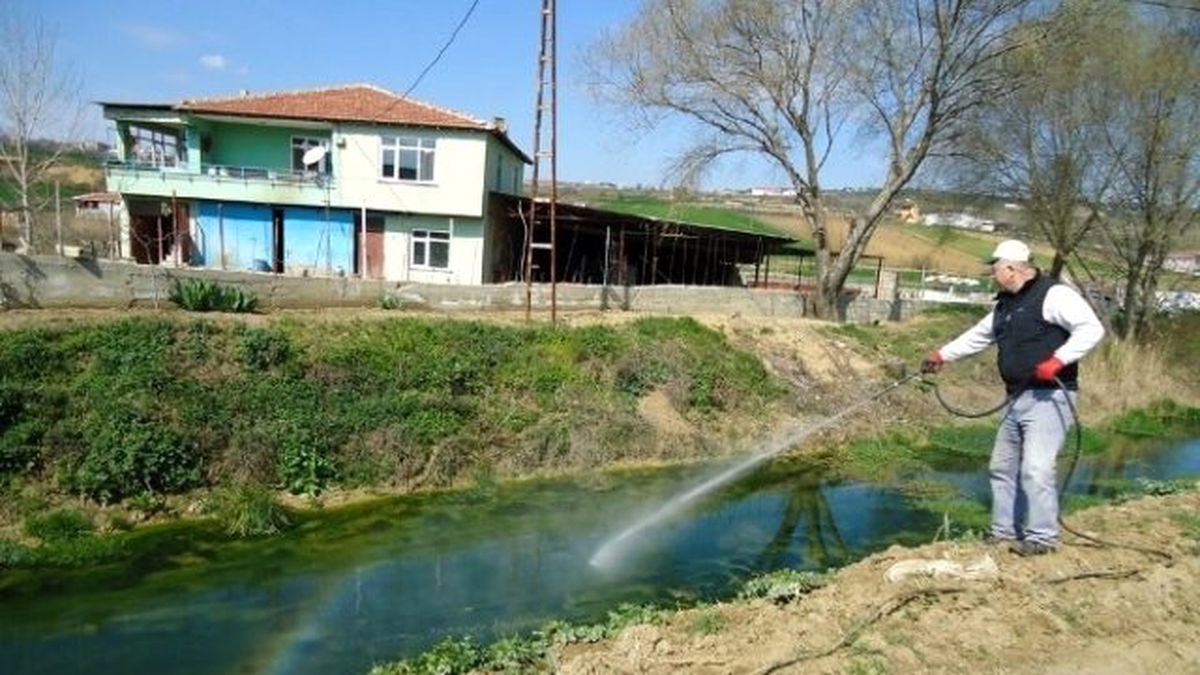 Tekirdağ\'da Larva ve Uçkuna Karşı İlaçlı Mücadele