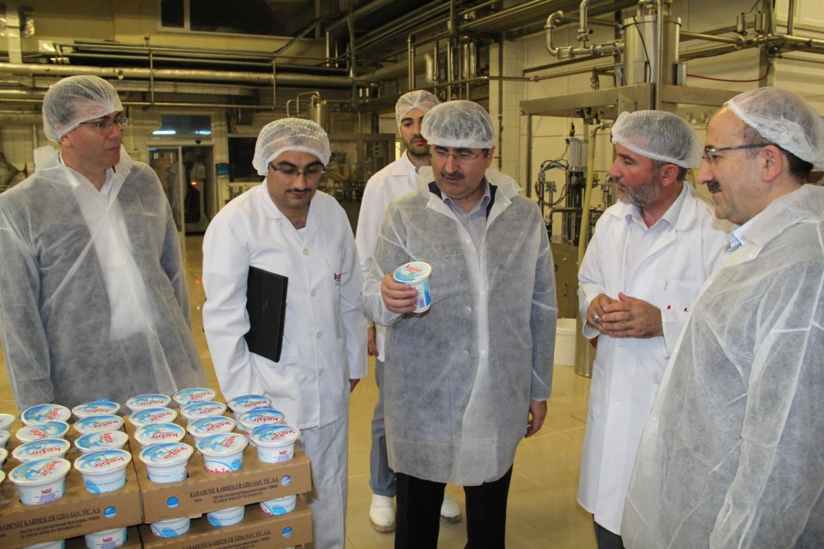 Vali Öz, Vakfıkebir İlçesindeki Süt Fabrikalarını İnceledi