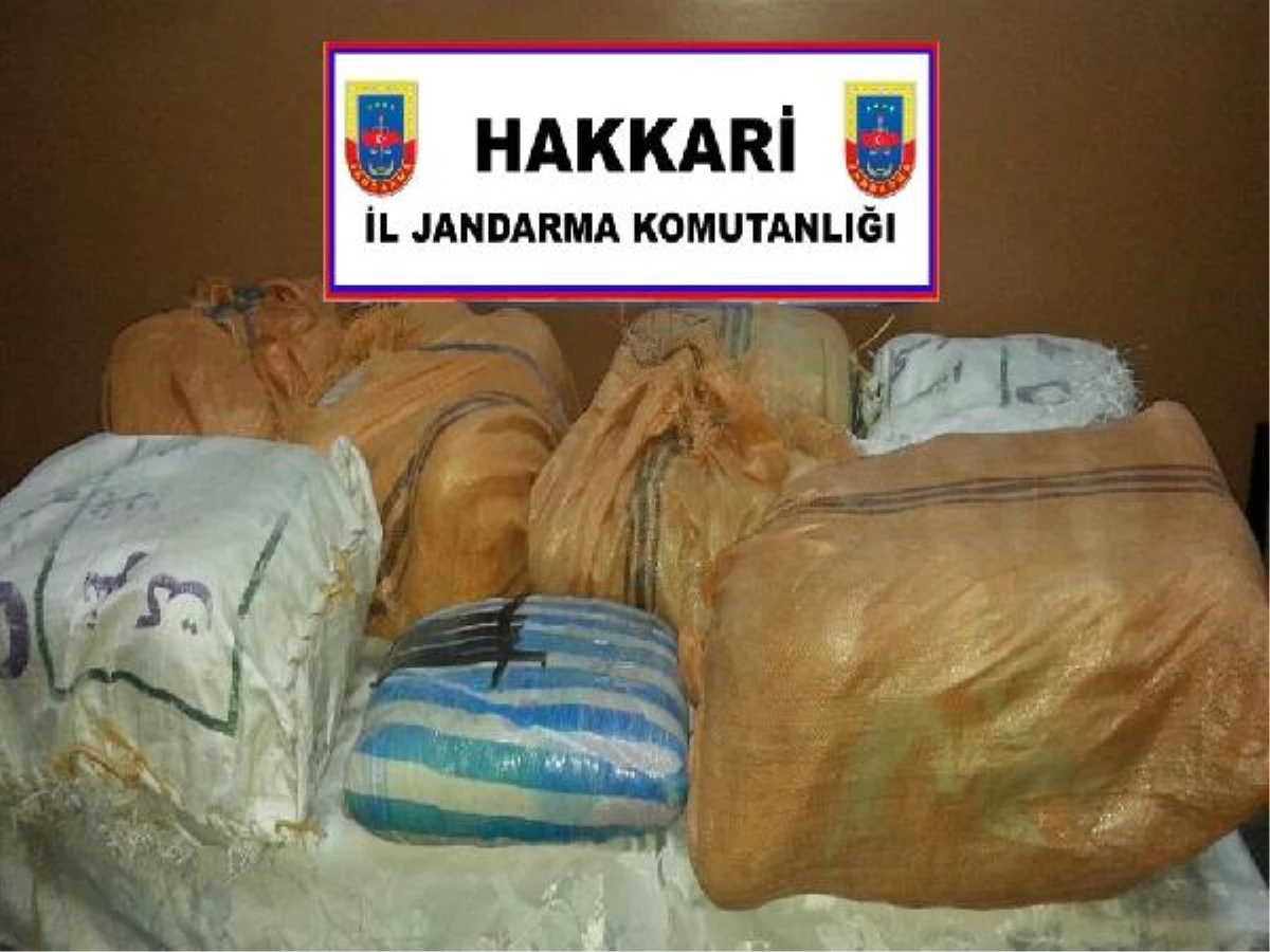 Yüksekovada Toprağa Gömülü 146 Kilo Esrar Ele Geçirildi