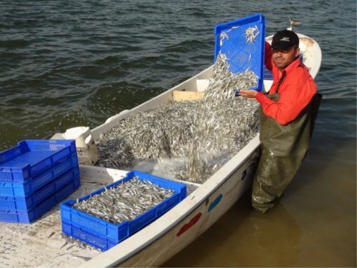 Muğla\'dan 67 Ülkeye Balık İhraç Ediliyor